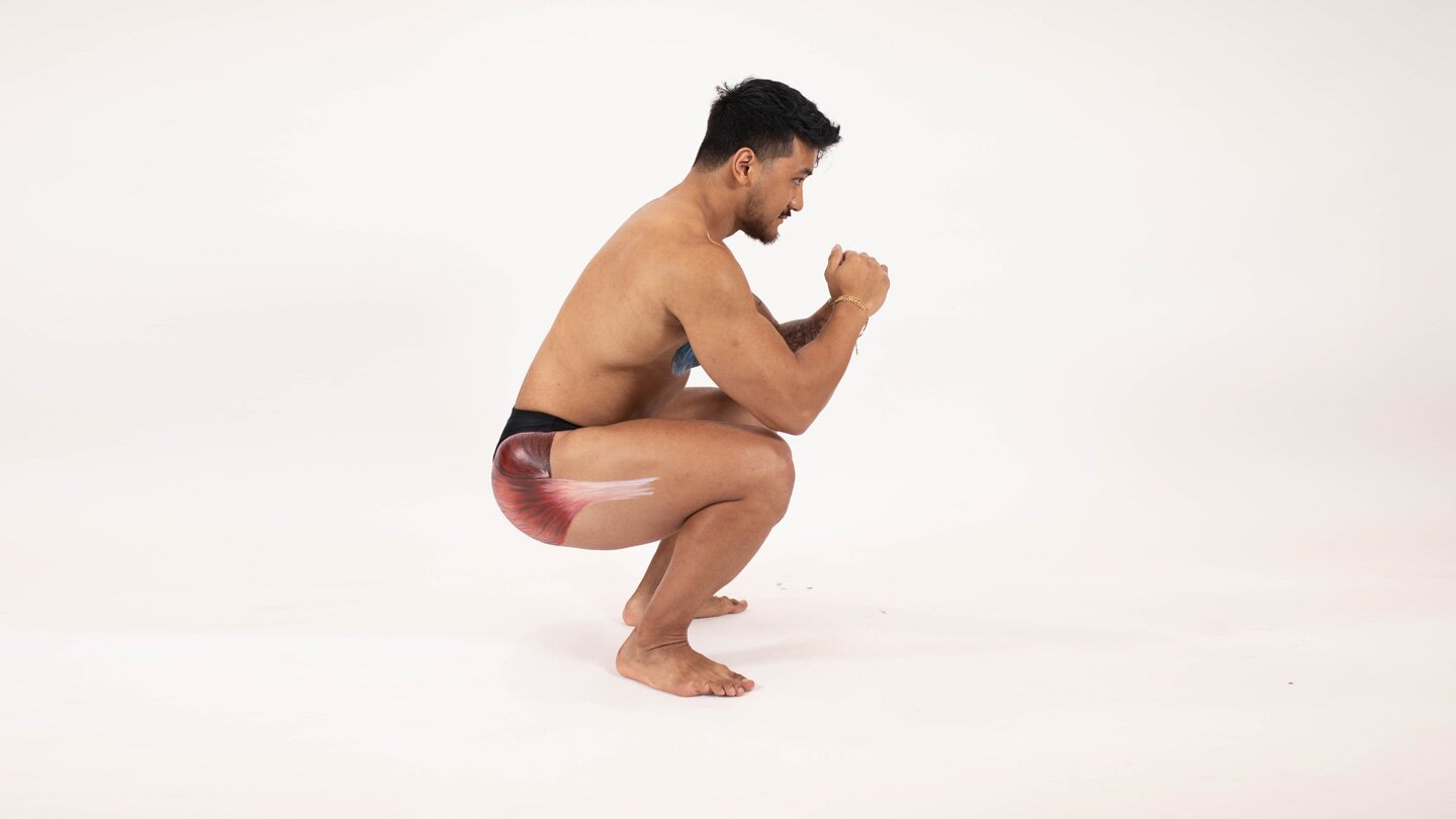 Squat Width to Target Your Glutes Versus Your Quads - Bodybuilding.com