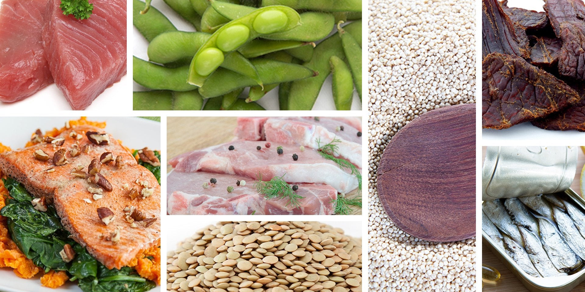 The 40 Best High-Protein Foods - Bodybuilding.com